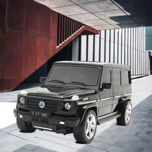 1:24 RC Licensed Car Mercedes-Benz G 55 AMG 27029