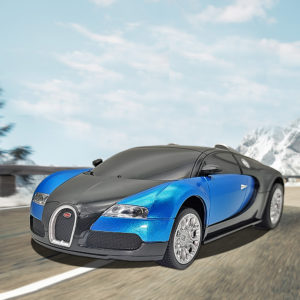 Officially authorizated Bugatti RC Toy Car 1:24 Scale Licensed Bugatti B24